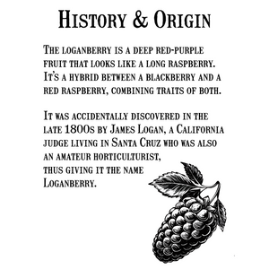 Loganberry Jam - Reserve Collection